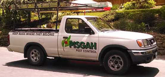 Truck from early 2000s for Pisgah Pest Control