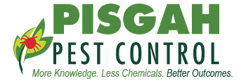 Pisgah Pest Control Logo
